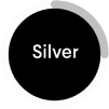 plan icon silver